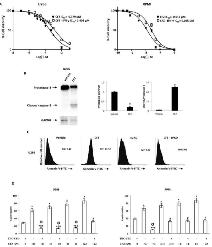 Figure 7: The effect of CFZ alone or in combination with THC-CBD on cell viability.  A