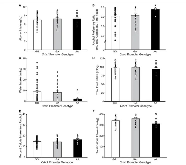 TaBle 3 | Food intake and body weight of msP rats with home cage two-bottle 