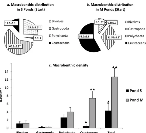 Fig. 2. Relative distribution (%) of macrobenthic species (a, b) and macrobenthic density (c) in S and M ponds at the beginning of the growth