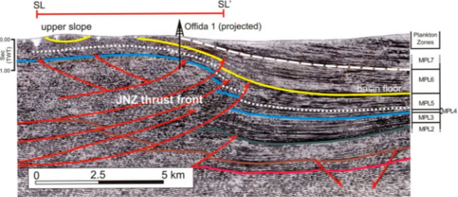 Figure 3. Interpreted, southwest – northeast-oriented seismic line (FTR-19 – 81) across the Castignano and Ofﬁda systems (for location of this seismic line see the geological map)