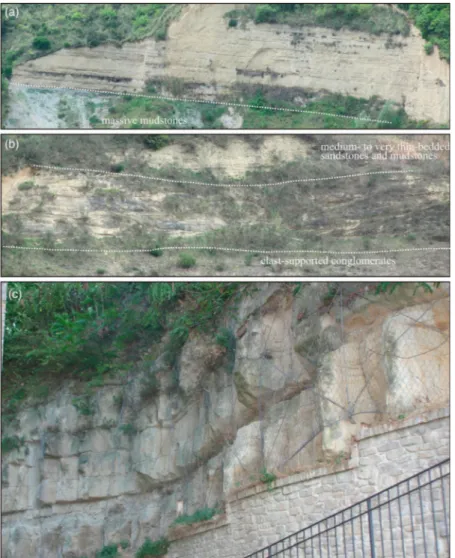 Figure 2. Compilation of ﬁeld photographs showing the main facies associations observed in the four tur- tur-bidite systems documented in this paper