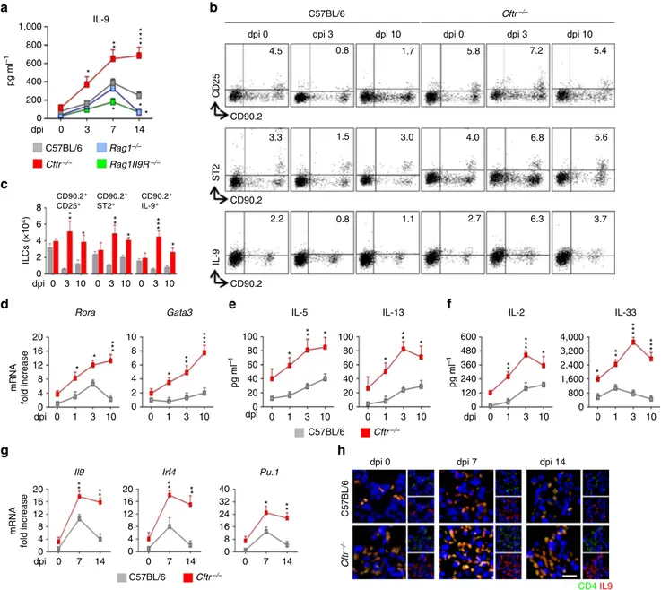 Figure 1 | IL-9 production and ILC2-Th9 cells activation in Aspergillus fumigatus infection