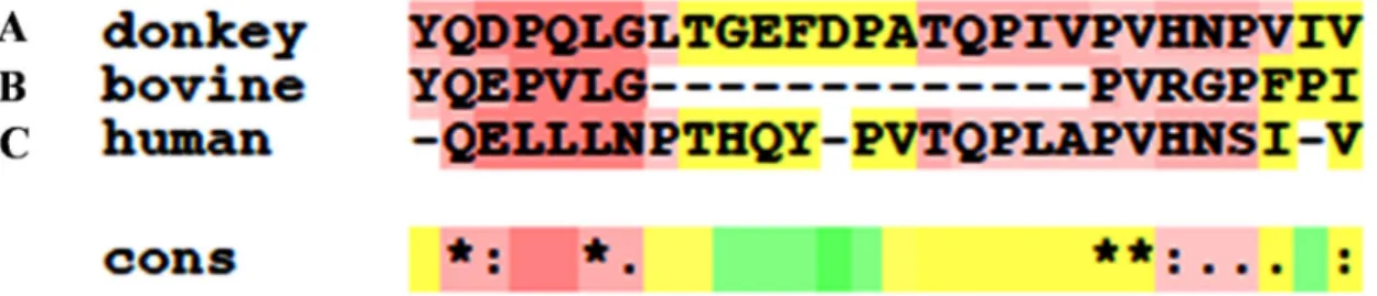 Figure 4. Alignment of fragments derived from the β-casein digestion with anti-hypertensive properties: (A): donkey’s β-casein fragment 199–226; (B): human β-casein fragment 184–210; (C): bovine β-casein fragment 193–198 [ 45 ]