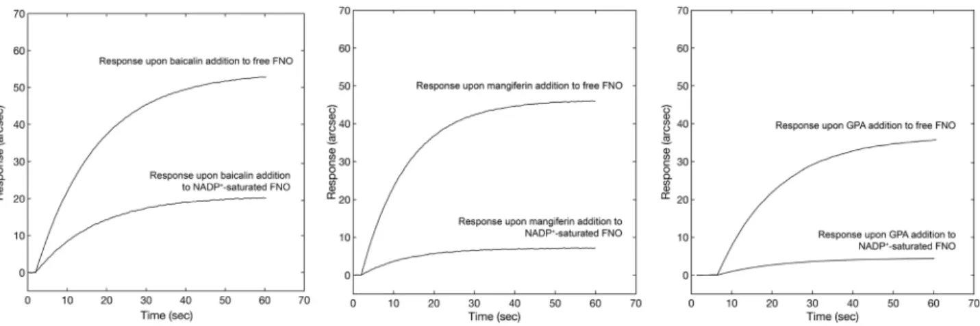 Figure 9.  Comparative biosensor responses obtained upon addition of baicalin, mangiferin and GPA to a  surface containing free FNO (upper sensor traces) and  NADP + -saturated FNO (lower sensor traces).