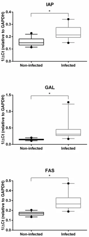 Figure 2. Box-and-whisker plots of inhibitor of apoptosis (IAP), fas ligand (FAS) and galectin (GAL)  transcription  values  (medians  and  95%  confidence  intervals)  in  hemocytes  of  infected  and  non-infected groups of  Ostrea edulis  oysters