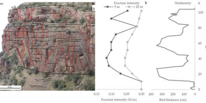 Figure 3. Camera-acquired image showing: (a) panoramic view of the Tang-e Mastan section of the Sehkaniyan 