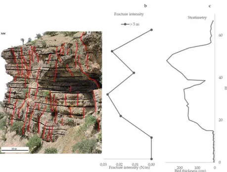Figure 5. (a) Outcrop digital line-drawing of the Sarki Fm. (N 35°3’33”, E 46°9’12”); (b) results of digital scan line  in terms of fracture intensity (fractures taller than 5 meters and taller than 20 meters in black and grey,  respectively); (c) stratime