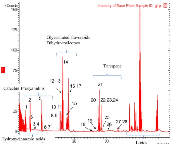 Figure 1. Representative chromatogram of apple peels; the principal classes of phytoconstituents are highlighted; numbers of the identified metabolites are those reported in Table 1 .