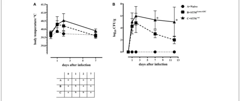 FIGURE 1 | STM 1znuABC (group B) shows a lower virulence in piglets compared to the STM wt (group C)