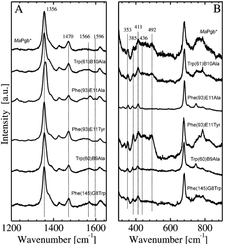 Fig 3. High-frequency (panel A) and low-frequency (panel B) regions of the RR spectra of MaPgb*(II) and related mutants