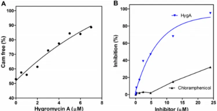 Figure 6. (A) Hygromycin A––chloramphenicol competition for binding to the 50S ribosomal subunit