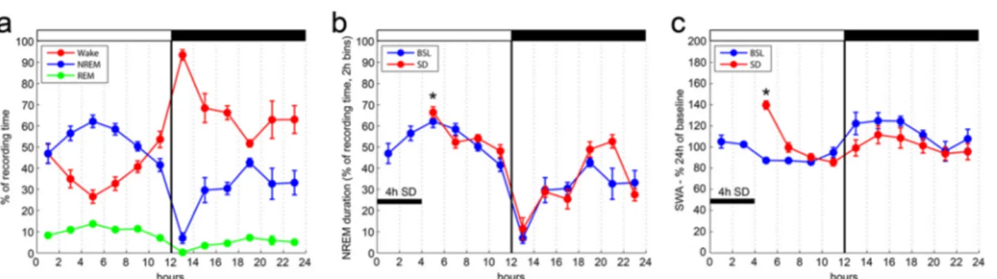 Fig. 2 Sleep/wake pattern and response to sleep deprivation in ALDH1L1 – eGFP-L10a mice