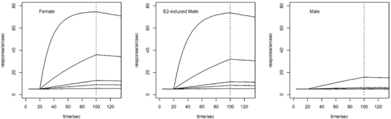 Fig. 7 Immunosensor response for female, E2-induced male and male samples. The representative sensorgrams report from top to bottom 1:8, 1:16, 1:40, 1:80, 1:160 dilutions of the plasma samples