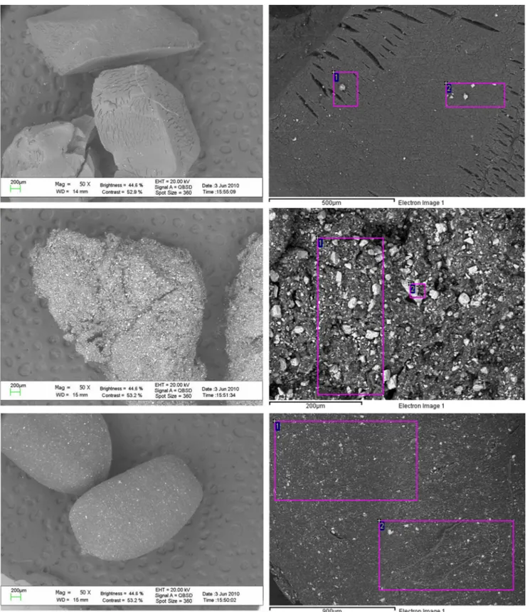 Fig. 1 SEM micrographs (left panel) and field chosen for EDS microanalysis (right panel) of the recycled scrap tires (upper panel),
