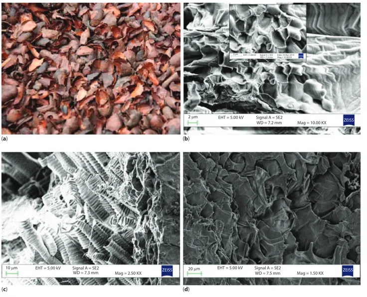 Figure 1  Visual appearance of roasted beans shells (a) and FESEM images of different morphologies detected in ground cocoa 