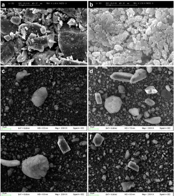 Fig. 1. SEM microphotographs of glibenclamide samples. a Native crystals (1000x); b Amorphous glibenclamide (3500x); c Pure Neusilin® UFL2 (2500x); d Physical Mixture PM 1 (2500x); e Physical Mixture PM 2 (2500x); f Physical mixture PM 3 (2500x); g Physica