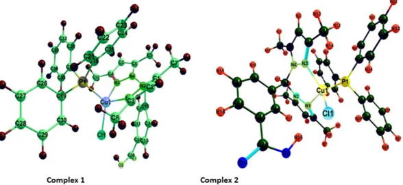 Figure 2.  Gas phase B3LYP/DFT optimized structure of complexes 1 and 2. 