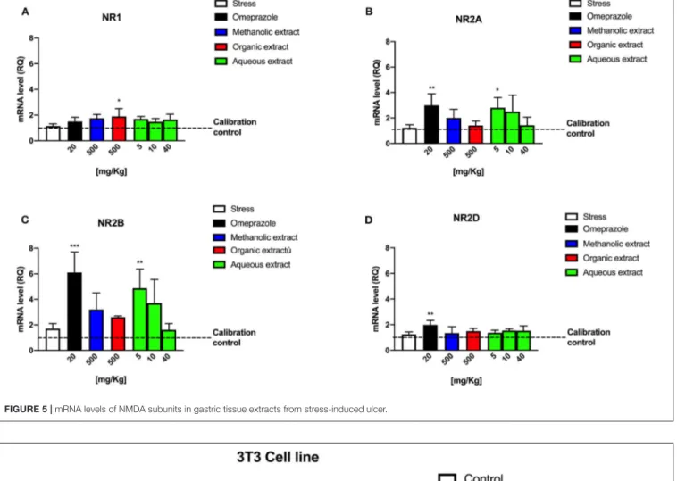 FIGURE 5 | mRNA levels of NMDA subunits in gastric tissue extracts from stress-induced ulcer.