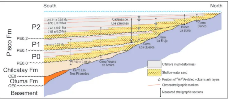 Fig. 6 -  Schematic, dip-oriented stratigraphic diagram for the Pisco Formation (not in scale)  showing the position of  the stratigraphic sections  on which the diagram is based (vertical black lines)