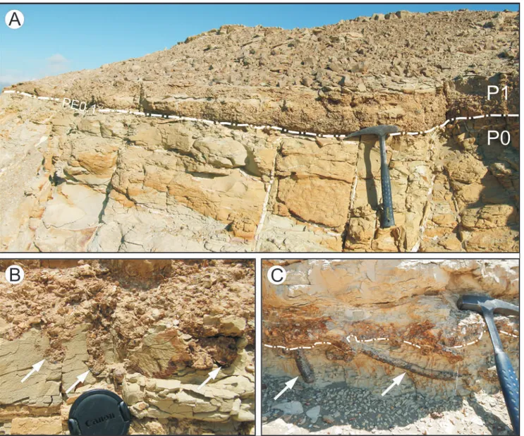 Fig. 3 - Details of  the intraformational unconformities. A lens cap (6.5 cm in diameter) and a hammer (0.3 m long) are used for scale