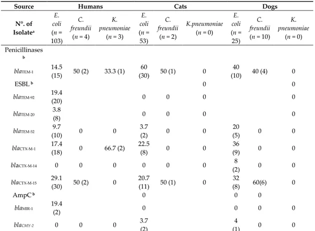 Table  4.  Distribution  of  β-lactamase  genes  (%)  in  Enterobacteriaceae  isolates  of  human  cat  and  dog 