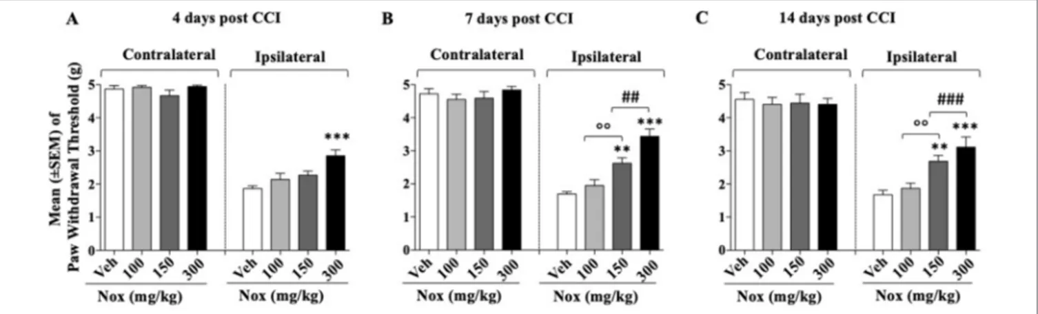 FIGURE 2 | Dose–effect relationship of Noxiall ®  (Nox) on CCI-induced mechanical allodynia at:  (A) day 4 (B); day 7; (C) day 14