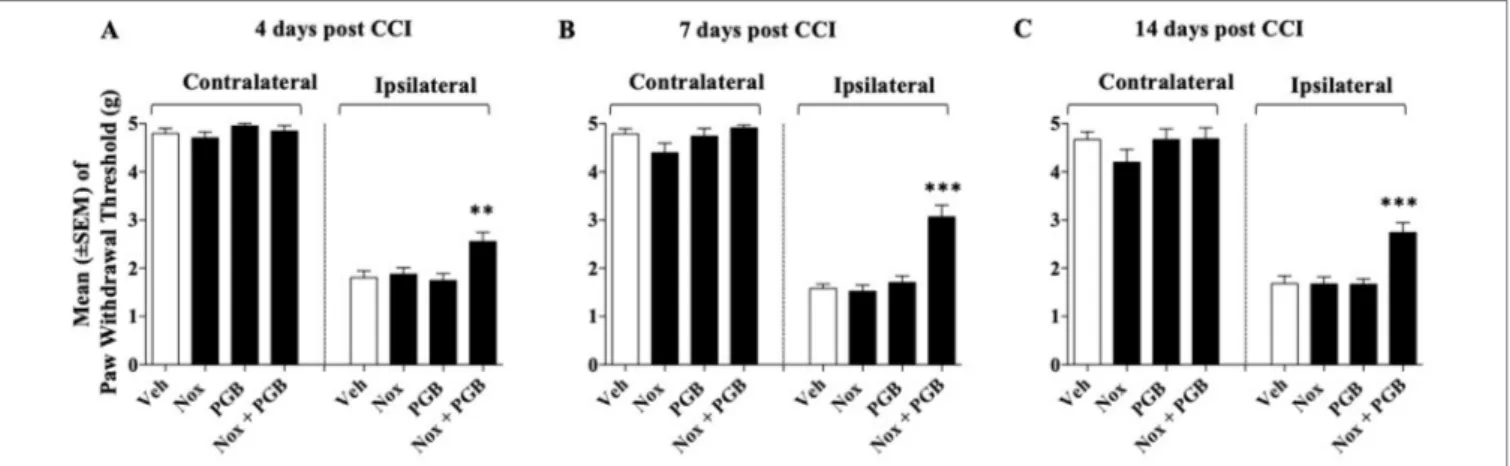 FIGURE 4 | Effect of co-administration of an ineffective doses of Noxiall ®  (Nox) and of pregabalin (PGB) on CCI-induced mechanical allodynia at:  (A) day 4; 