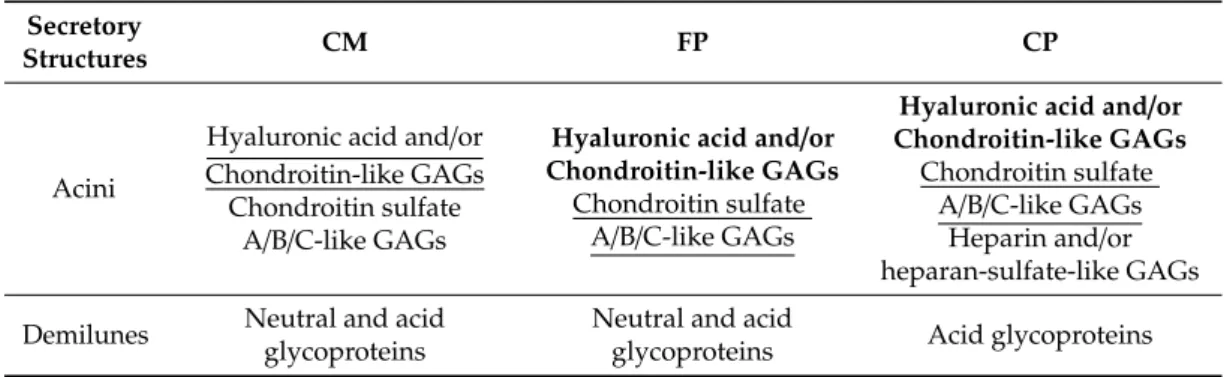 Table 5. Kinds of glycoconjugates produced by the pig mandibular gland (MG) secretory structures, listed in descending order as also evidenced by a differentiated style.