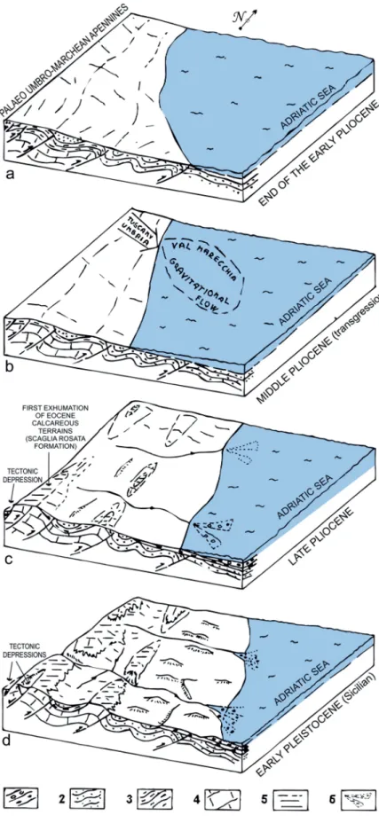 Fig. 9. Palaeogeographic reconstruction from the early Pliocene to early Pleistocene (not 