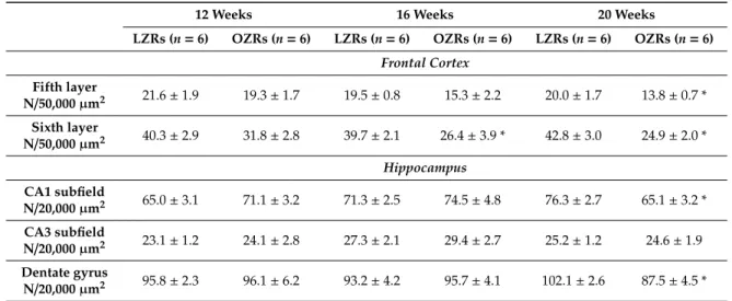 Table 2. Number of Neu-N positive neurons in frontal cortex and hippocampus of lean and obese Zucker rats at the different ages.