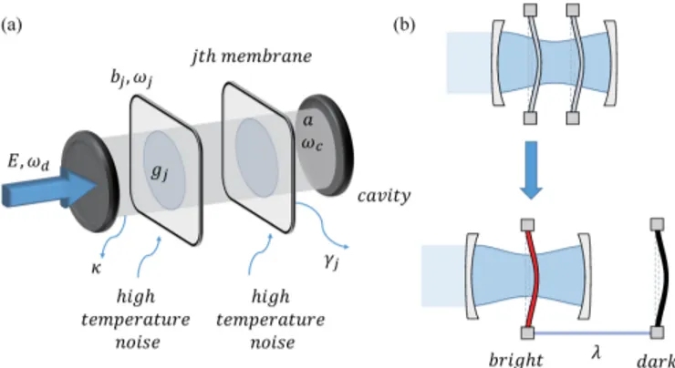 FIG. 1. (a) Schematic diagram of a two-membrane OMS. (b) Our model can be also described by a “bright” mode coupled to the cavity field and a “dark” mode which is decoupled from the cavity field