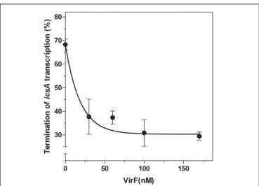 FIGURE 7 | Effects of VirF on the RnaG-mediated repression of icsA. The in vitro transcription test programmed with icsA was performed, as described in Section “Materials and Methods,” in presence of 2 pmol of RnaG120 as a function of increasing amounts of
