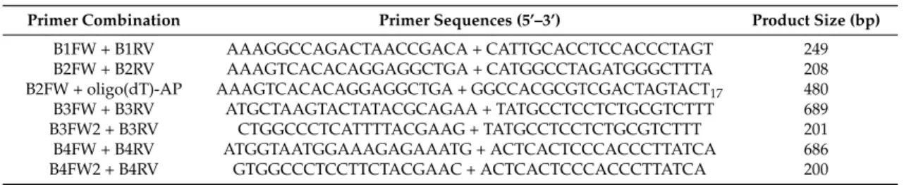 Table 1. Primer combinations used in PCR amplifications and relative dimensions of PCR products.