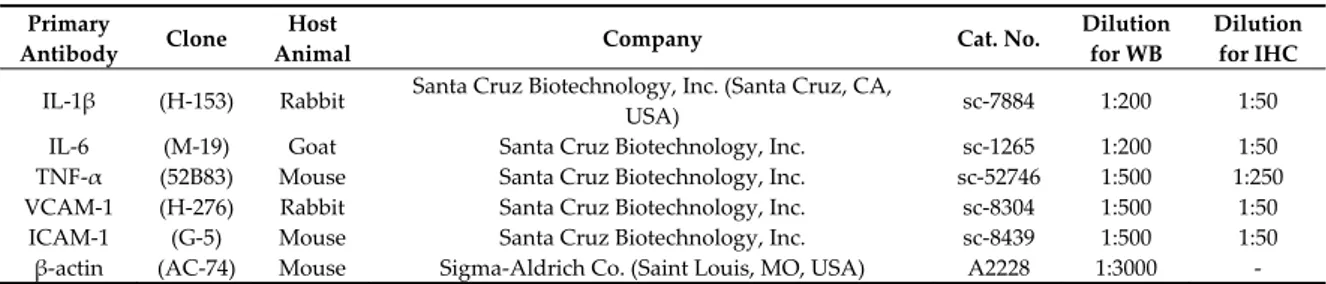 Table 1. The primary antibodies using for Western blot (WB) and immunohistochemistry (IHC)