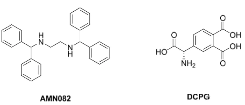 Figure 8. mGlu5R ligands. 