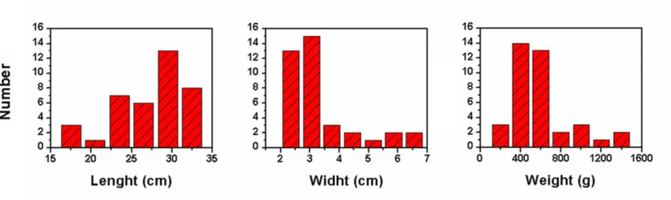 Figure 6. Ingots lengths (a), widths (b) and weights (c) distributions