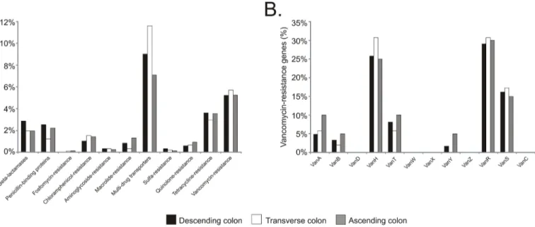 Fig 10. Percentage of putative antibiotic-resistance genes in mummified gut. Panel A shows the percentage of hits to genes associated with beta- beta-lactamases, penicillin-binding proteins, resistance to fosfomycin, chloramphenicol, aminoglycosides, macro