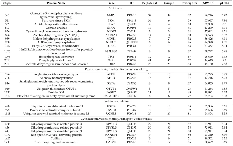 Table 1. MS/MS data of protein spots differentially expressed grouped by functional class