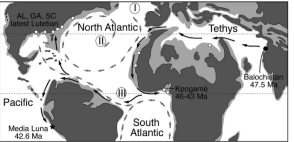 Figure 4. Distribution of Protocetid Whales during the Middle Eocene