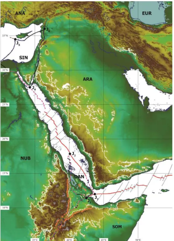 Figure 1. Location map of the study area, showing present-day plate boundaries, triple junctions and transverse structures around the Red Sea and Gulf of Aden