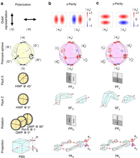 Fig. 1 Toolbox for single-photon one-qubit operations for polarization and spatial-parity