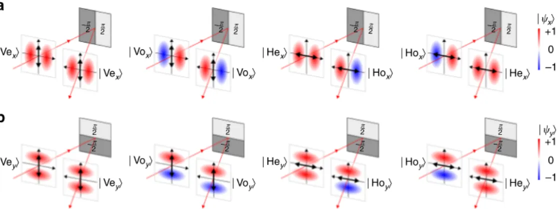 Fig. 2 Impact of a polarization-sensitive phase-only SLM on polarized single-photons. a Impact of a polarization-sensitive phase-only SLM on x-parity