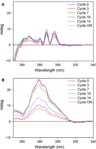 Fig. 3. Robustness of EfcIBP (A) and GFP (B) analysed by near-UV CD spectroscopy. Spectra were acquired in phosphate buffer before freezing (cycle 0), upon several cycles of FT and upon further overnight freezing following the 14th FT cycle (cycle ON).