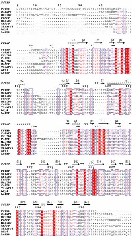 Fig. 9. Structure-based amino acid sequence alignment of EfcIBP and other DUF3494 IBPs from Colwellia sp