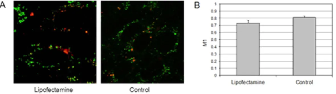 Figure 2.  Colocalization of DNA-loaded complexes and endosomes. (A) Representative confocal images 