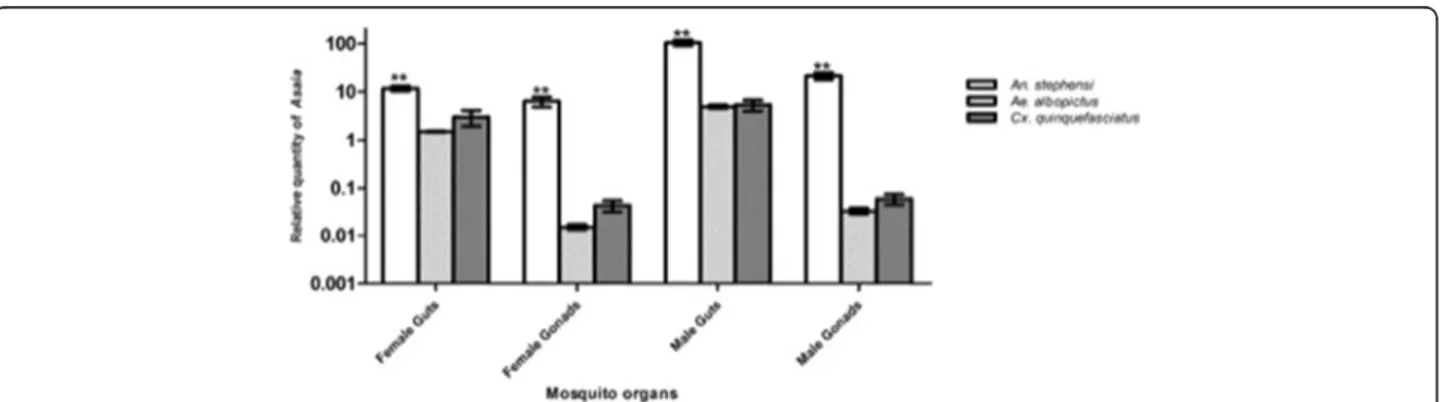 Fig. 1 Quantitative detection of Asaia in organs of three different lab-reared mosquito species obtained by qPCR