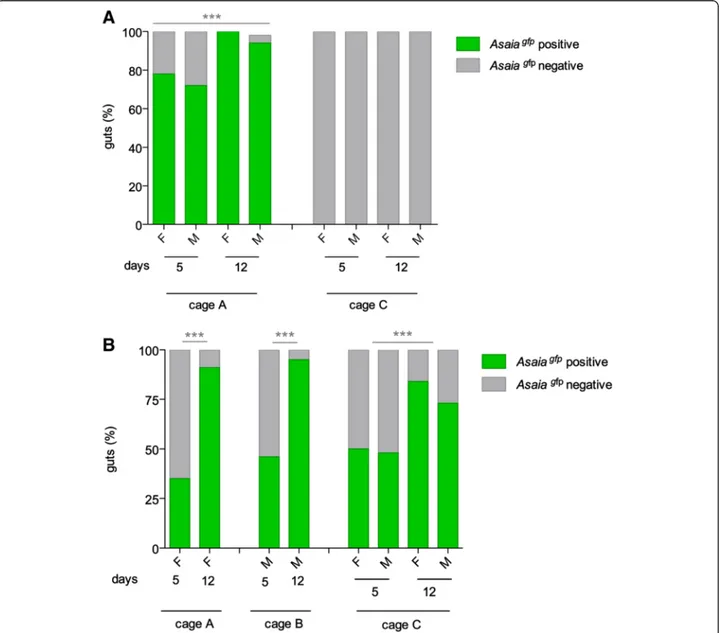 Fig. 3 Asaia gfp horizontal transmission in large cages in An. gambiae. a Percentages of Asaia gfp positive and negative An