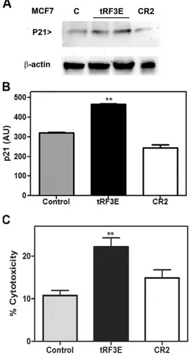 Figure 7. tRF3E affects p21 expression and cell viability. A) Representative image of Western blot analysis for the expression of p21 on MCF7 cells transiently transfected with tRF3E (in duplicate) or CR2 or treated with lipofectamine alone as control (C) 