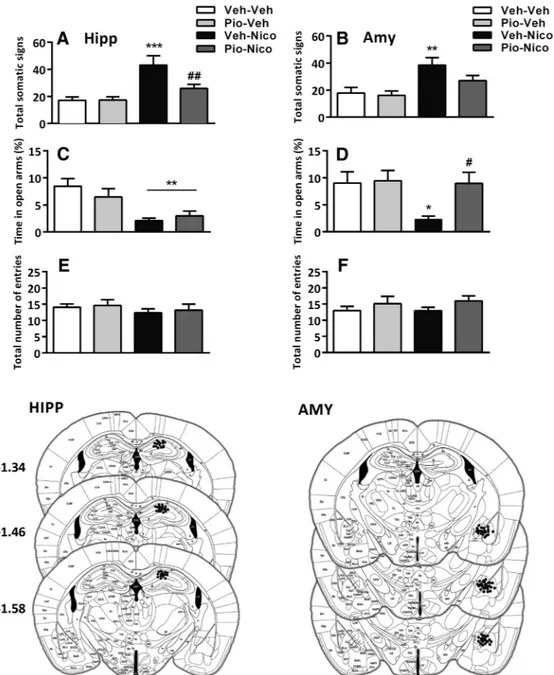 Figure 6. Effect of pioglitazone (Pio) in HIPP and AMY (left, right, respectively) on physical and affective nicotine withdrawal signs in PPAR ␥ ( ⫹/⫹) mice