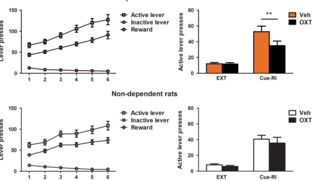 Figure 3 Cue-induced reinstatement of alcohol-seeking is decreased after intracerebroventricular (icv) administration of oxytocin (OXT) in alcohol- alcohol-dependent rats